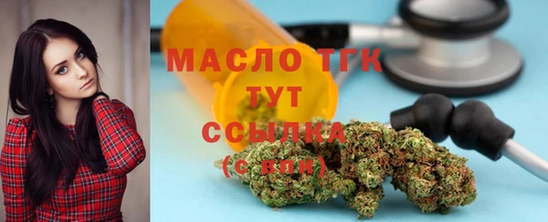 хмурый Надым