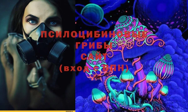 хмурый Надым