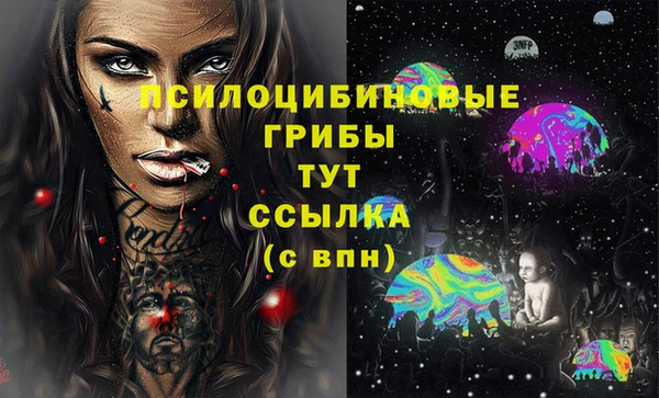 хмурый Надым