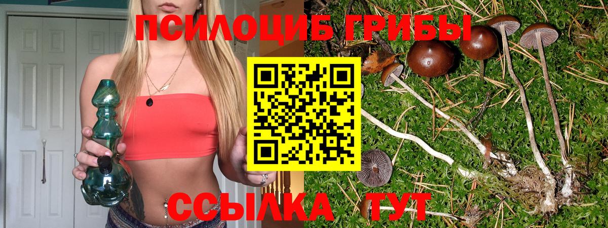 Холмск  Галлюциногенные грибы мухоморы  Вход с VPN 