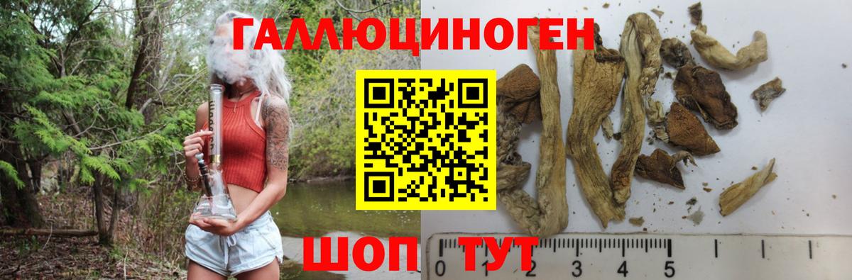 Галлюциногенные грибы мицелий Холмск