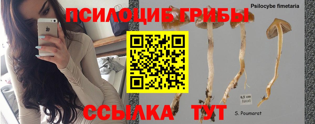 Галлюциногенные грибы MAGIC MUSHROOMS  Галлюциногенные грибы MAGIC MUSHROOMS  Холмск 