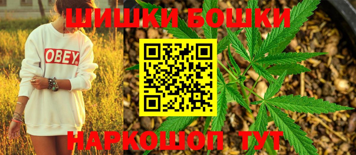 Бошки Шишки планчик Холмск